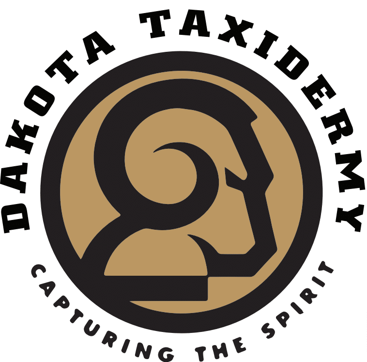 Dakota-Taxidermy-